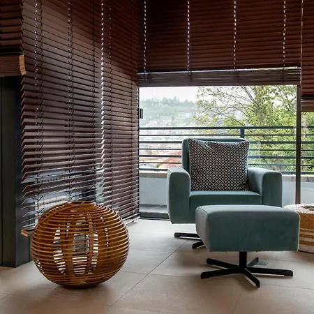 La Plâtrière, Classé 5 étoiles, Avec Garage En Haute Du Puy Appartement Le Puy-en-Velay