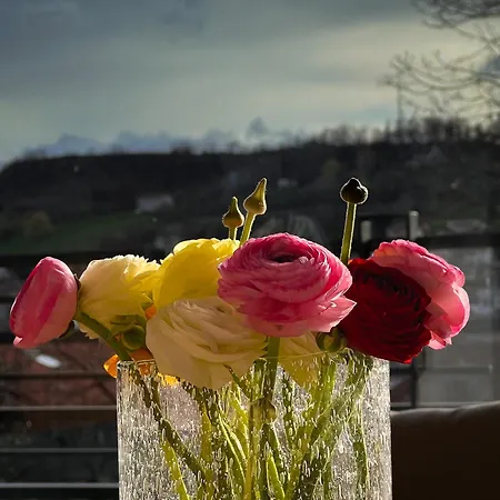 La Plâtrière, Classé 5 étoiles, Avec Garage En Haute Du Puy Appartement Le Puy-en-Velay