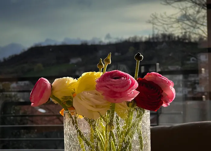 La Platriere Apartment Le Puy-en-Velay